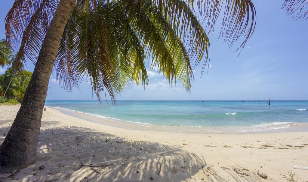 Lantana Barbados Condos Сент-Джеймс Номер фото